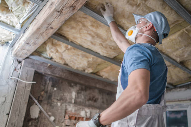 Best Insulation for Specific Applications in Clearlake, CA