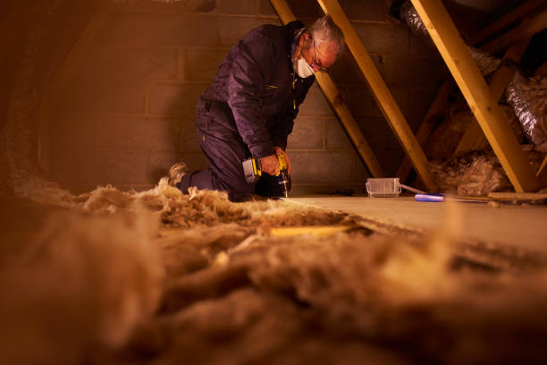 Best Types of Insulation in Clearlake, CA